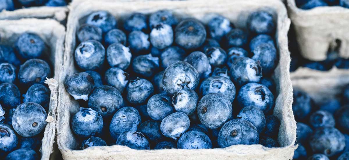 Gezonde Dutchies | blueberries
